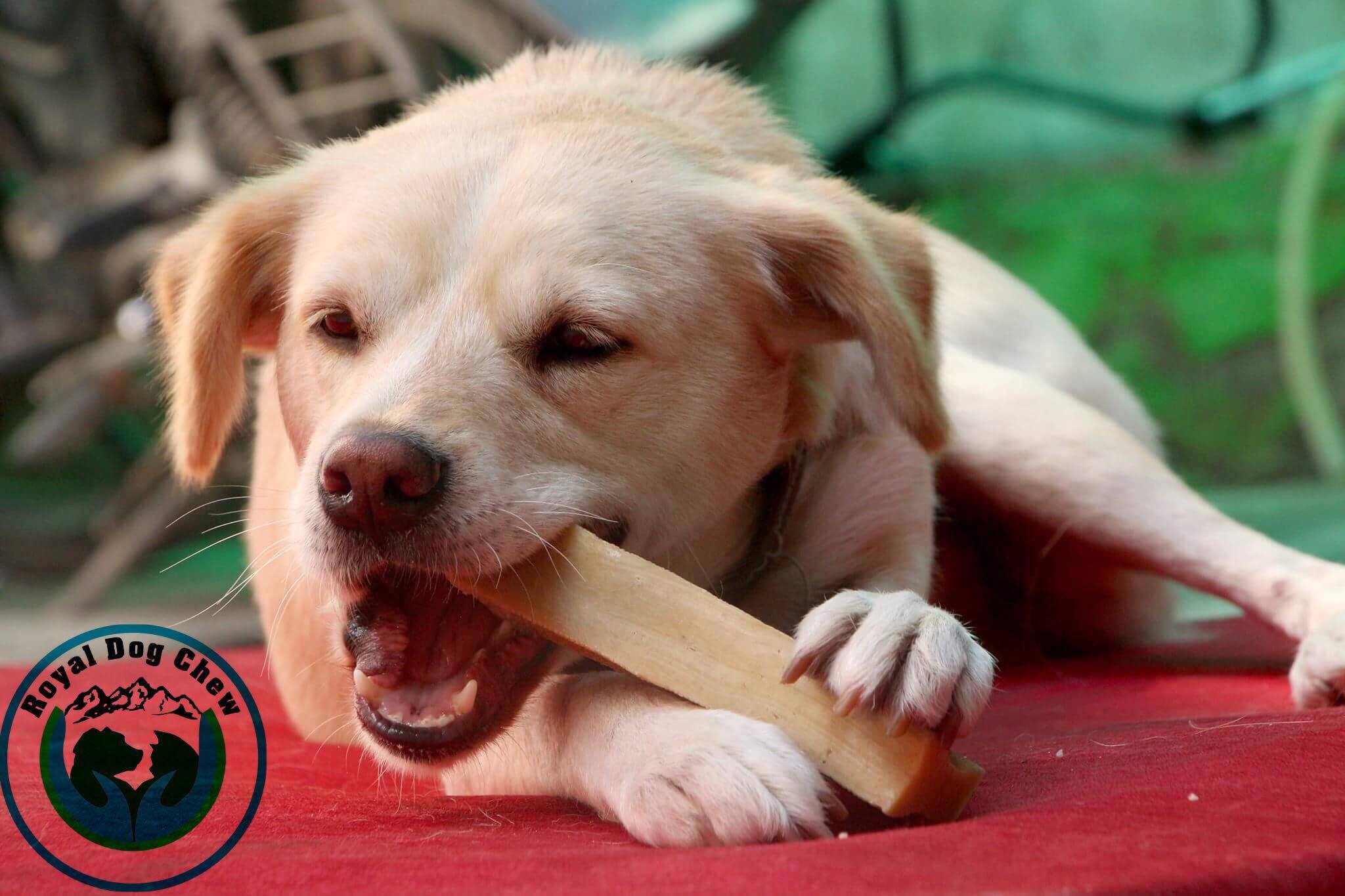 Royal Dog Chew